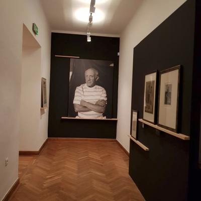 Pablo Picasso Wystawa 11